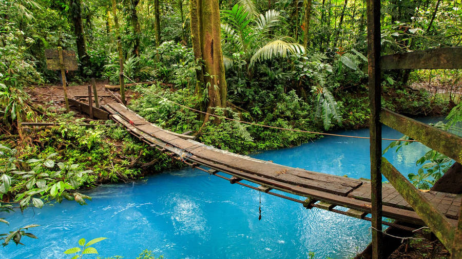 Costa Rica Wooden Footbridge Wallpaper