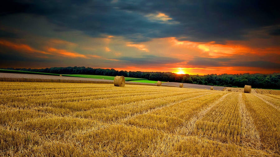 Country Summer Farm Sunset Wallpaper