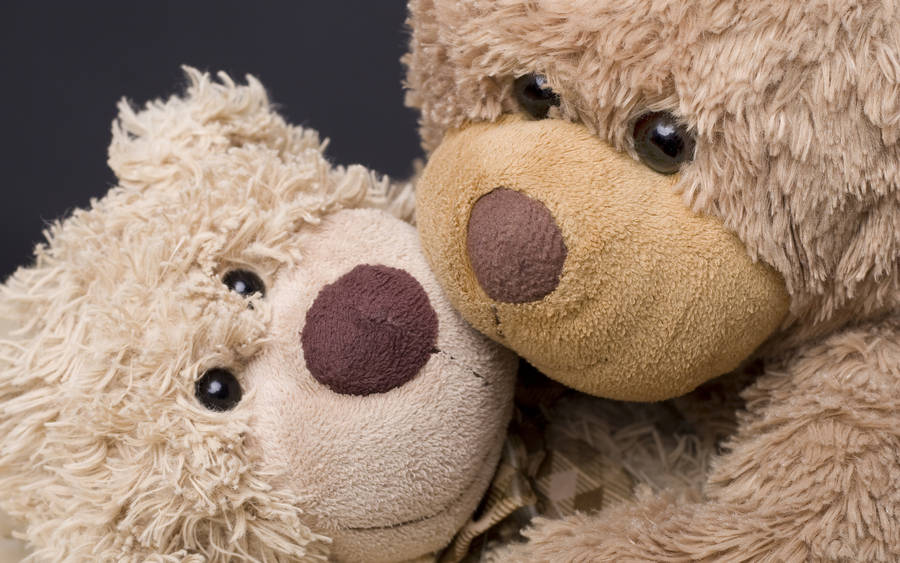 Couple Cute Teddy Bear Wallpaper