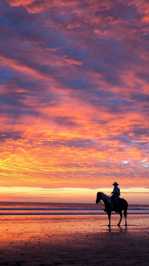 Cowboy On Seashore Wallpaper