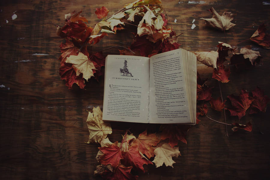 Cozy Autumn Book And Dried Leaves Wallpaper