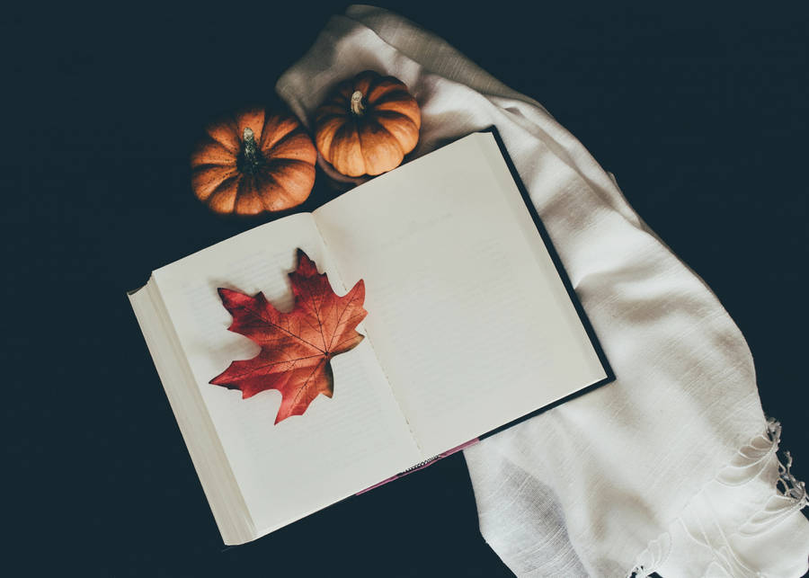 Cozy Autumn Open Book Wallpaper