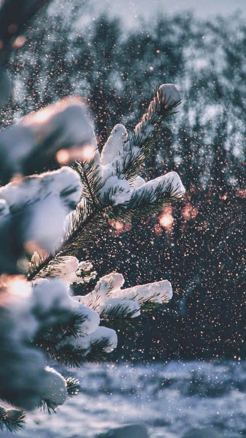 Cozy Iphone On A Soft Bed Wallpaper