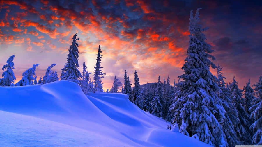 Cozy Winter Laptop Session Wallpaper