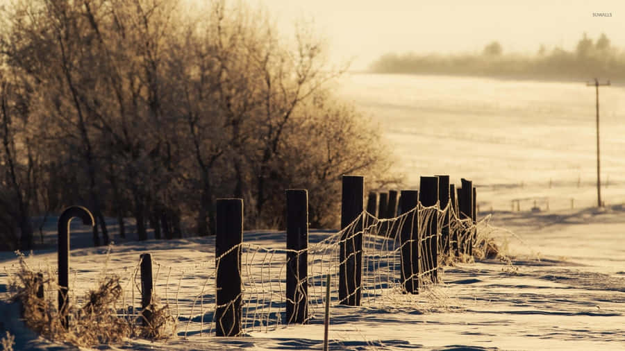 Cozy Winter Snowy Field And Fence Desktop Wallpaper