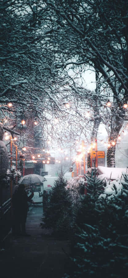 Cozy Wintertime Moments Wallpaper