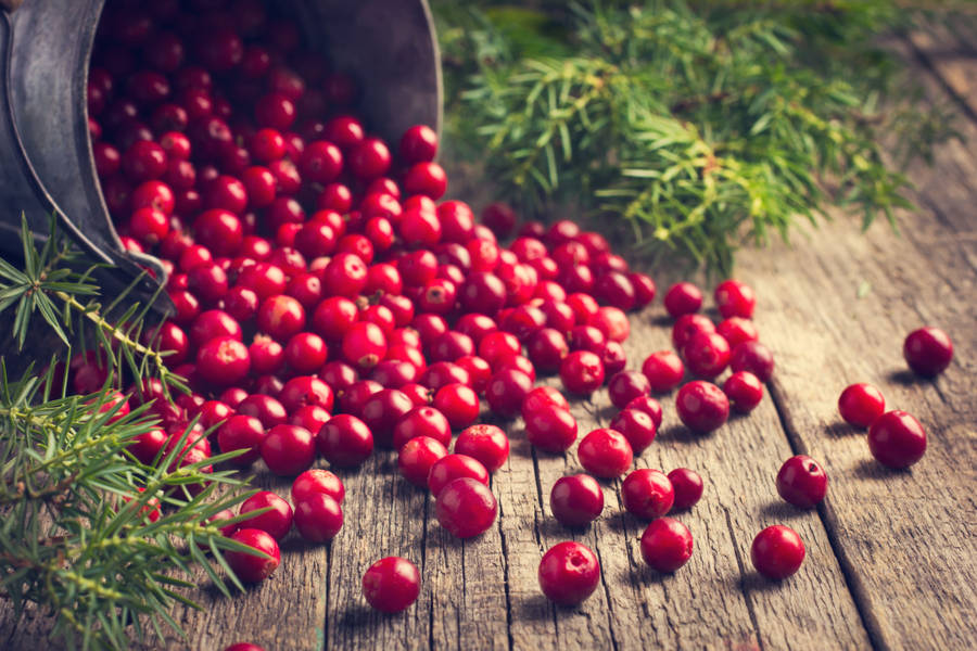 Cranberry Spilled On Ground Wallpaper