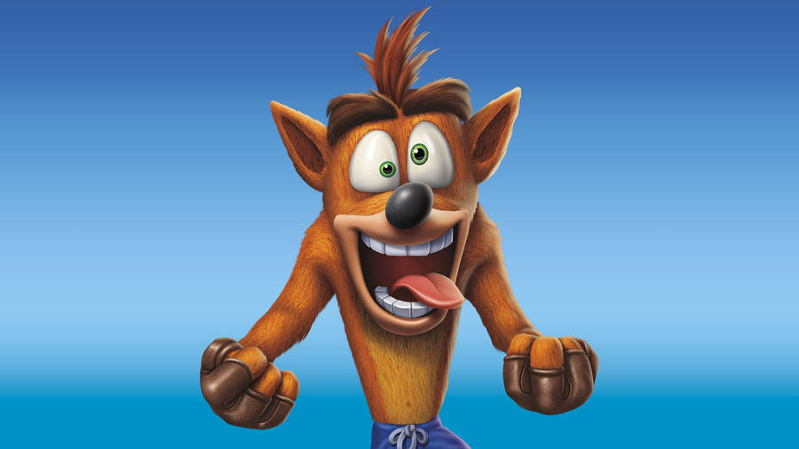 Crash Bandicoot Crazy Wallpaper