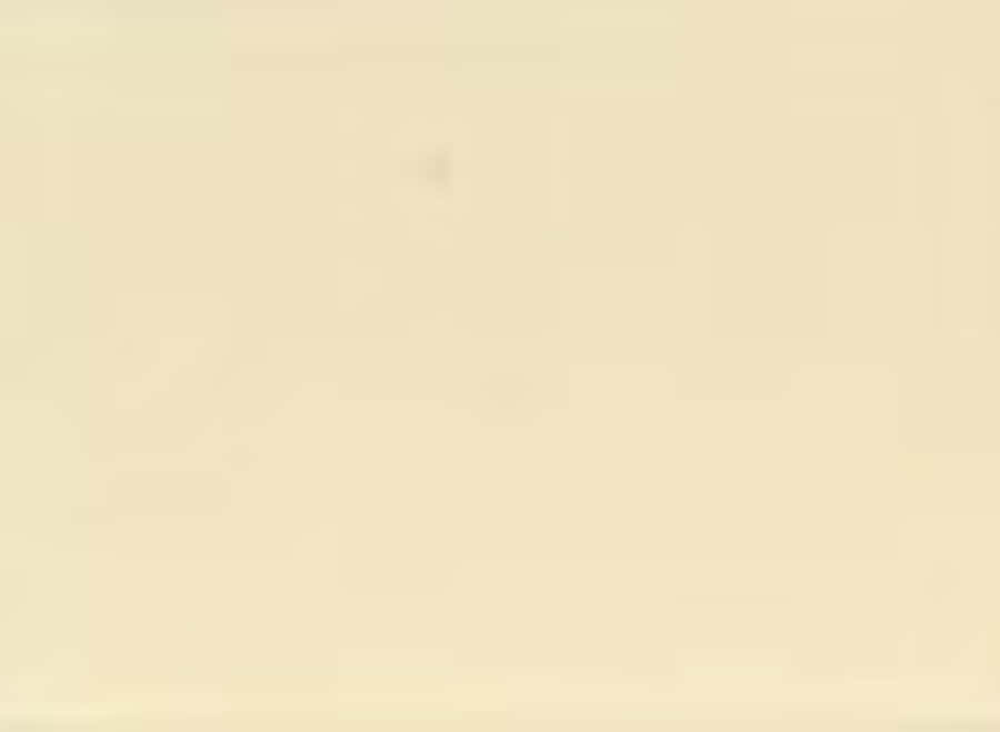 Cream-colored Gradient Background Wallpaper