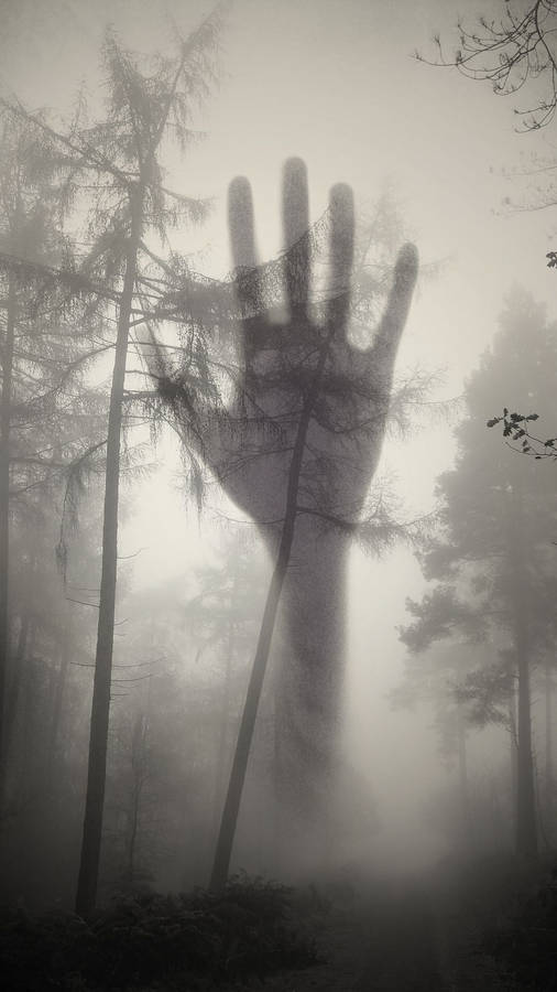 Creepy Forest Hand Silhouette Wallpaper