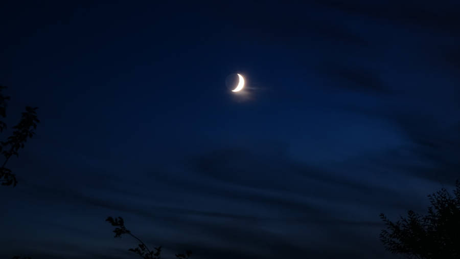 Crescent Moon In Navy Blue Sky Wallpaper