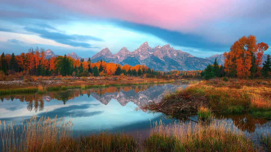 Crisp Autumn Air In A November Fall Wallpaper