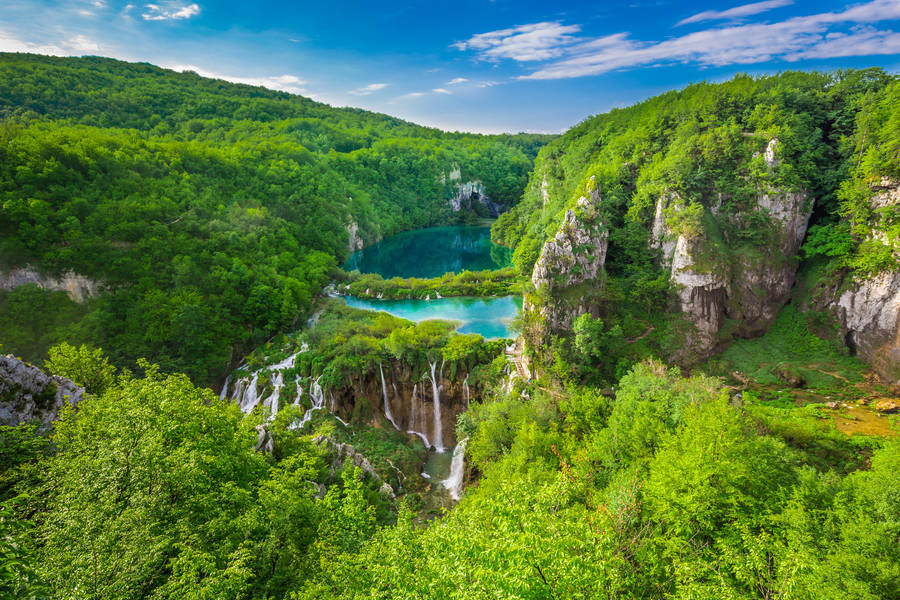 Croatia Forest Reserve Wallpaper