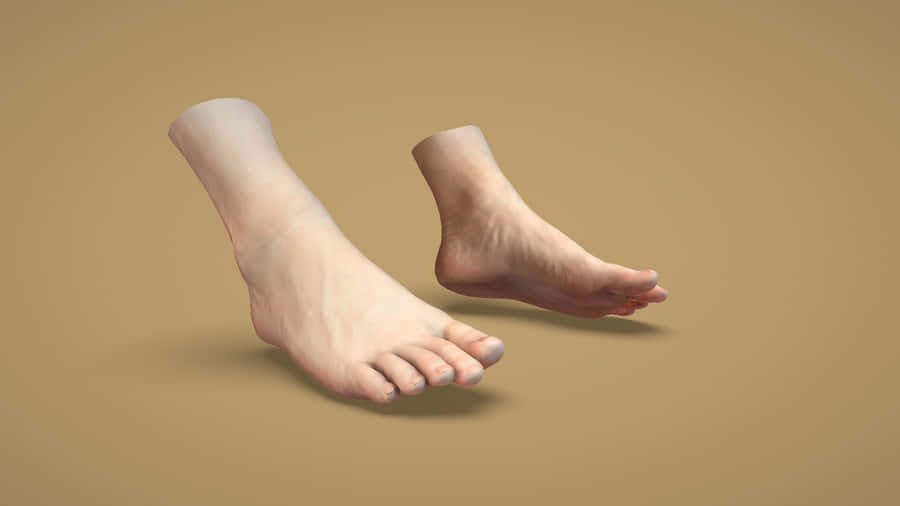 Cropped 3d Male Feet Wallpaper