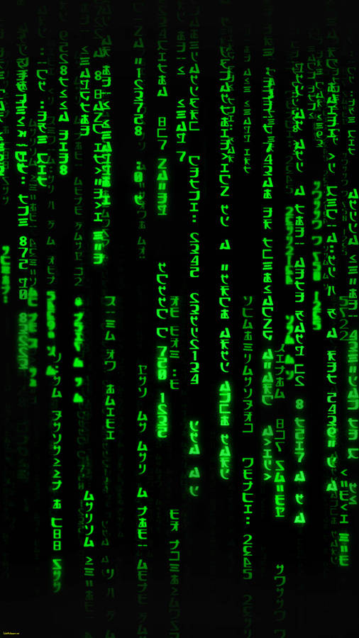Cryptic Japanese Hacker Code Wallpaper