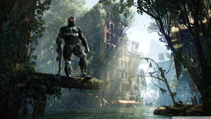 Crysis 3 New Ecosystem Wallpaper