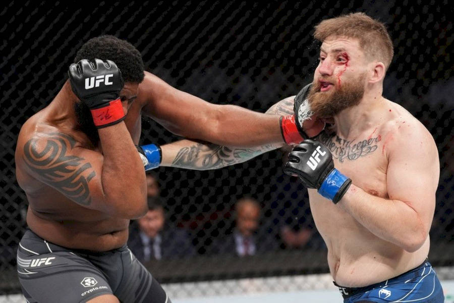 Curtis Blaydes Counter Punch Wallpaper