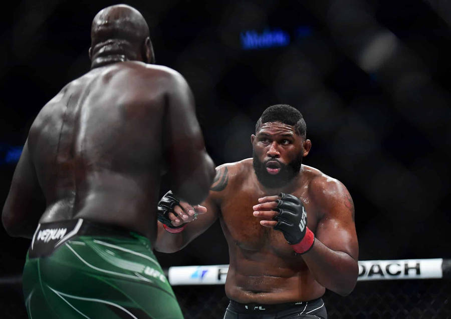 Curtis Blaydes Overwhelmed Wallpaper