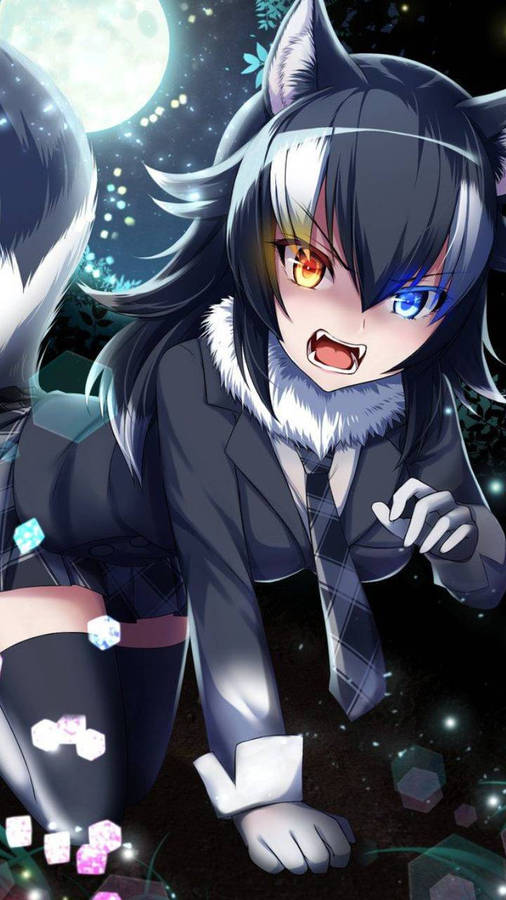 Cute Anime Pfp Wolf Girl Wallpaper