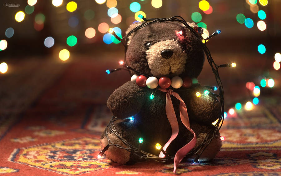 Cute Bear Lights Wallpaper