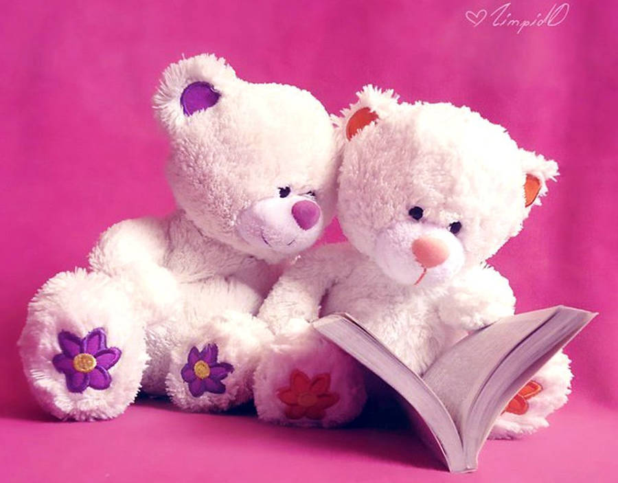 Cute Bear Reading Wallpaper