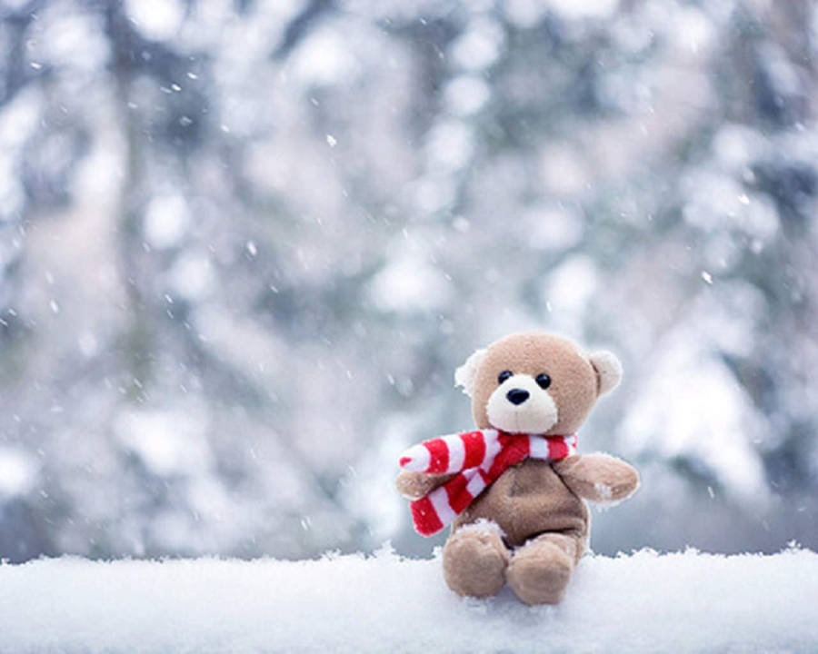 Cute Bear Scarf Wallpaper