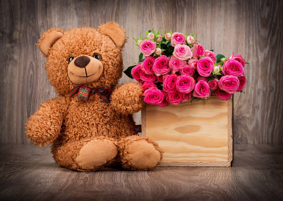 Cute Bear Wooden Box Wallpaper