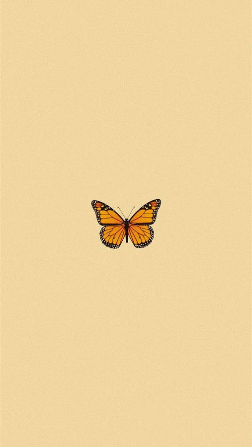 Cute Butterfly Original Iphone 4 Wallpaper