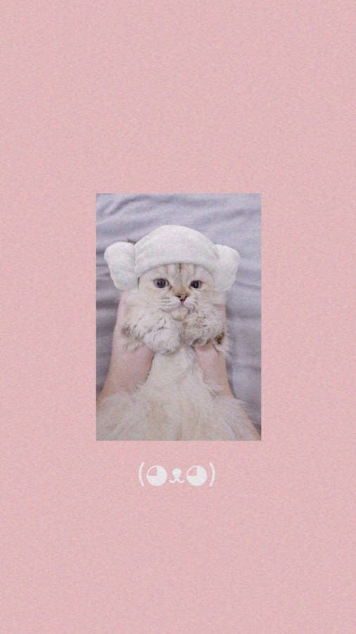 Cute Cat Aesthetic Lamb Head Towel Wallpaper