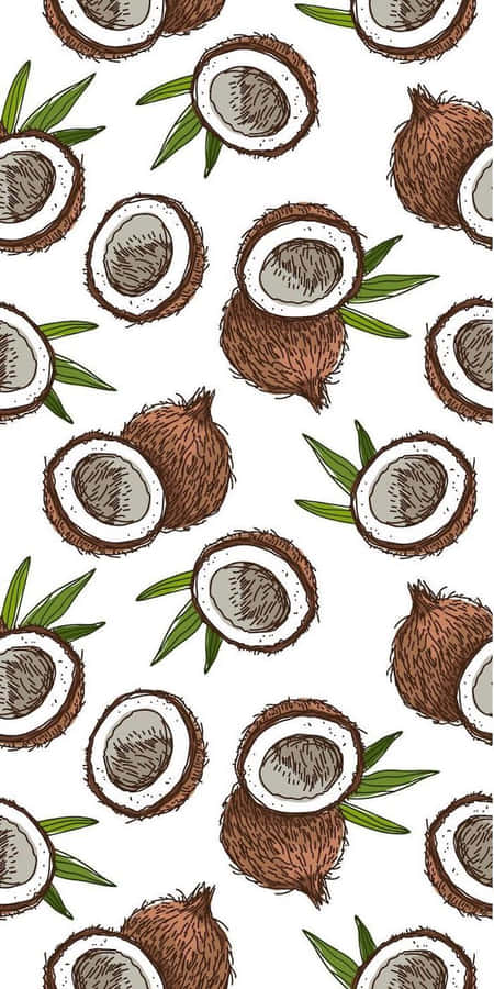 Cute Coconut Summer Phone Wallpaper