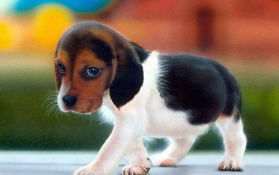 Cute Dog Sad Beagle Wallpaper