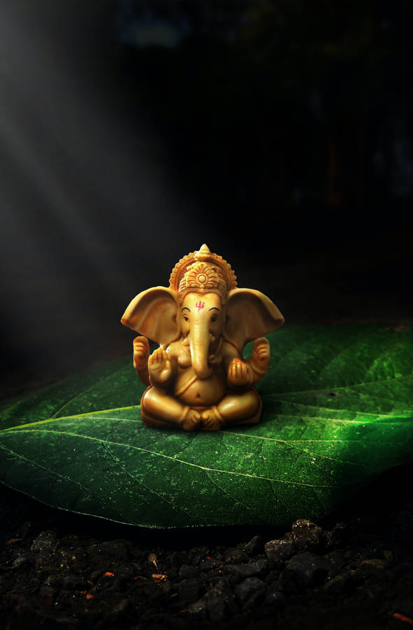 Cute Ganesha On Leaf Wallpaper