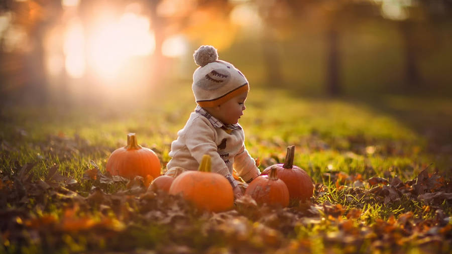 Cute Halloween Baby In Park Wallpaper