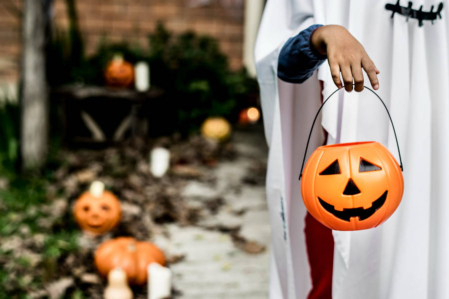 Cute Halloween Pumpkin Bucket Wallpaper