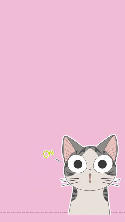 Cute Kawaii Cat Surprised Wallpaper