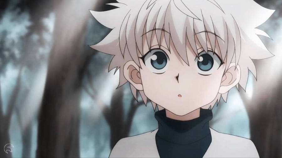 Cute Killua Anime Forest Scene Wallpaper