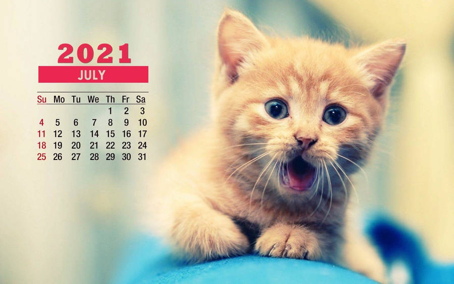 Cute Kitten July 2021 Calendar Wallpaper