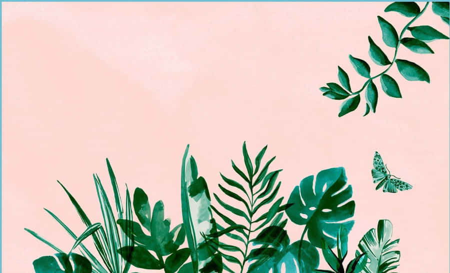 Cute Leaves Indoor Plants Wallpaper