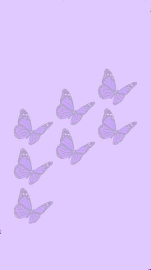 Cute Light Purple Butterflies Wallpaper