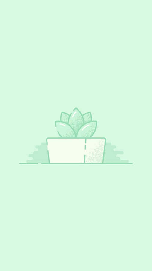 Cute Mint Green Succulents Aesthetic Wallpaper