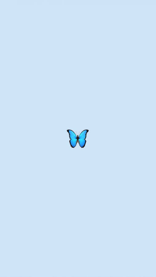 Cute Mobile Blue Butterfly Wallpaper