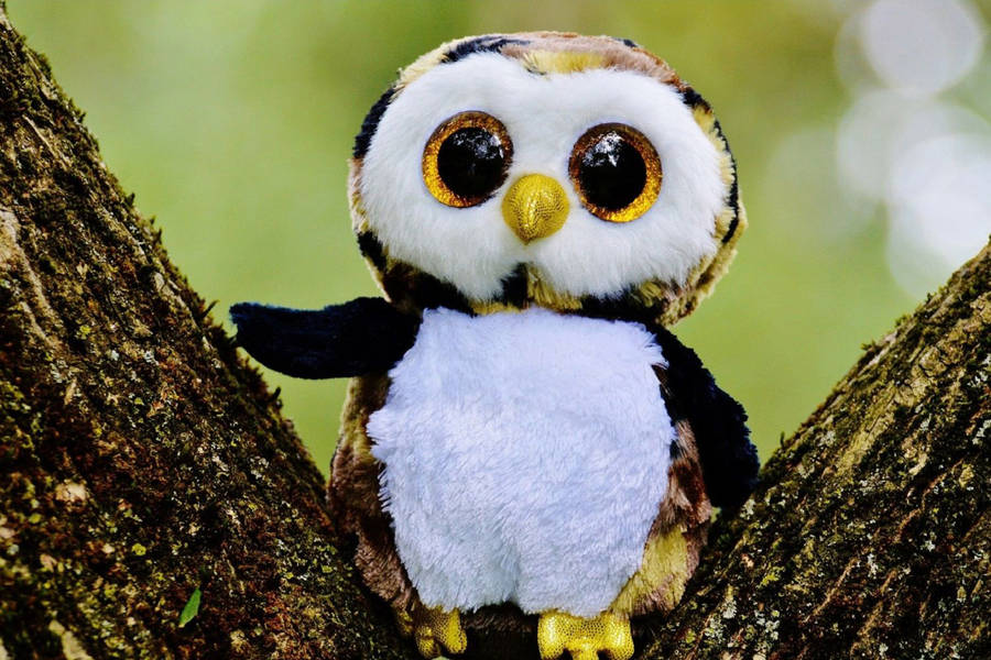 Cute Owl Stuffed Animal Wallpaper