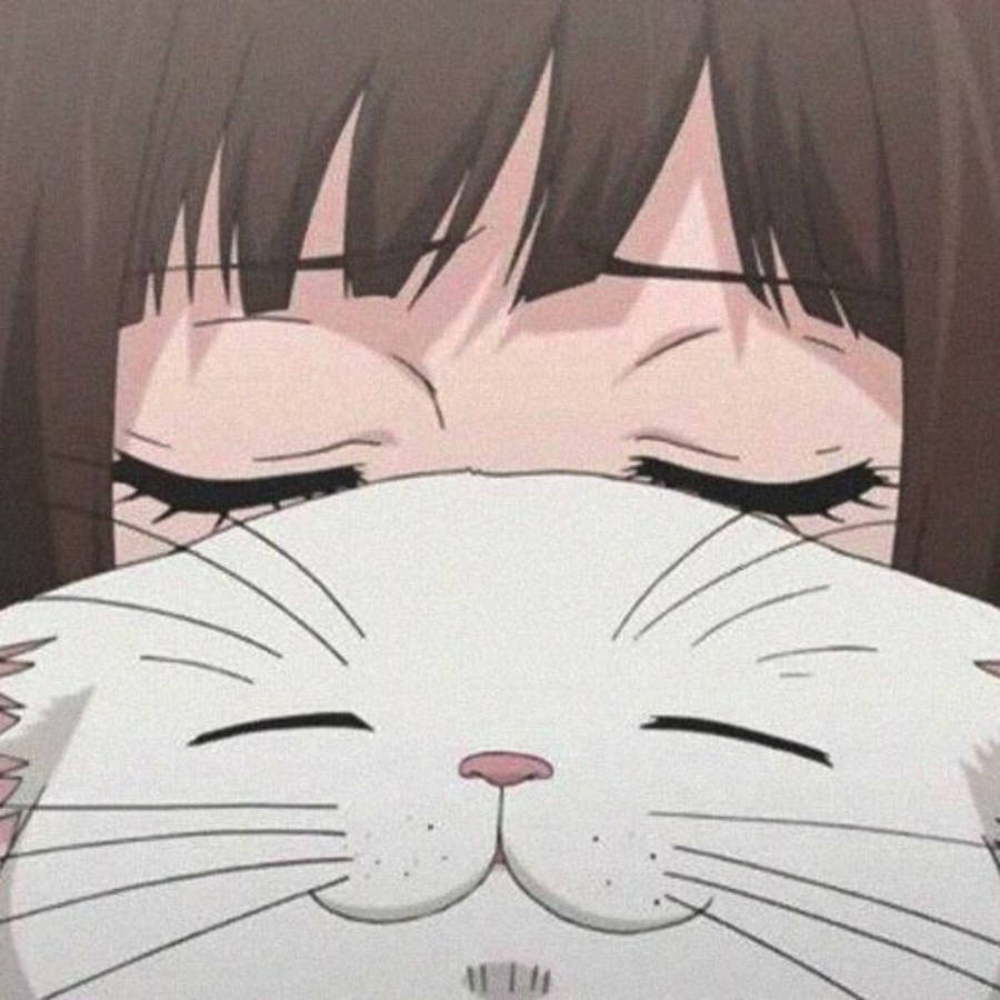 Cute Pfp Cat With Anime Girl Wallpaper