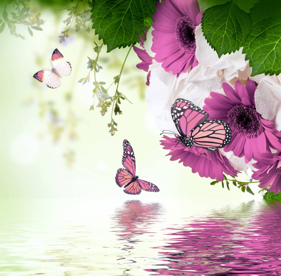 Cute Pink Butterfly Near The River Wallpaper