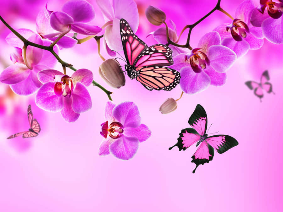 Cute Pink Flowers And Butterflies Wallpaper