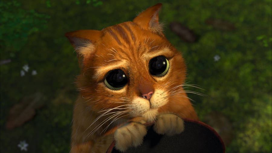 Cute Puss In Boots Shrek 2 Wallpaper