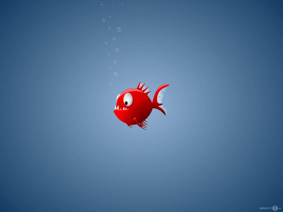 Cute Red Piranha Deviantart Wallpaper