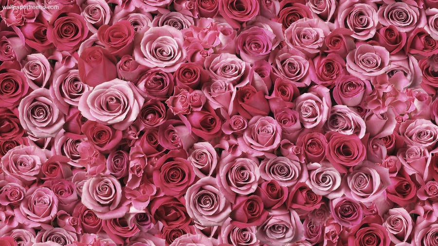 Cute Rose Gold Flowers Wallpaper