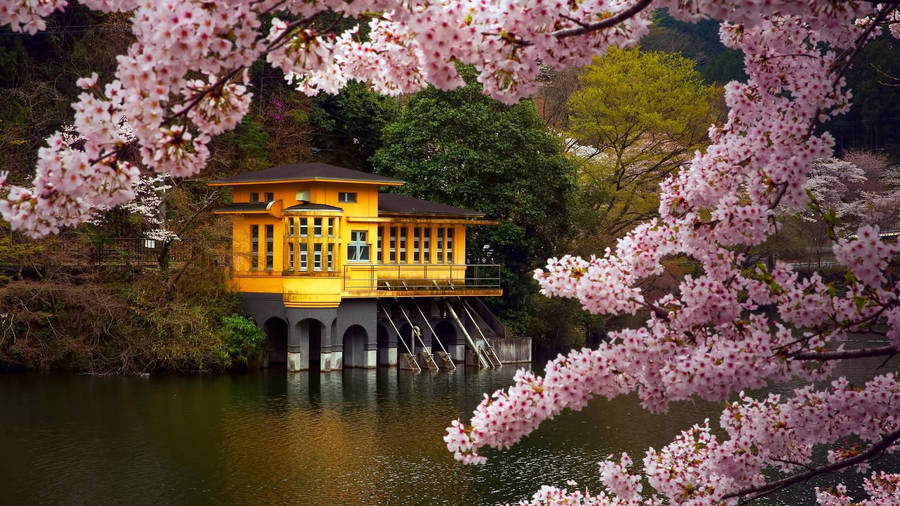 Cute Spring Lake House Wallpaper