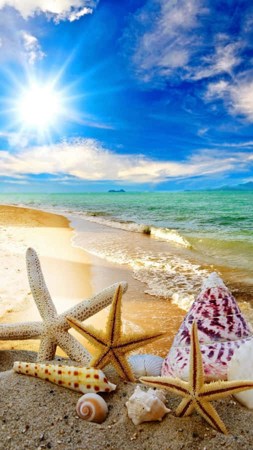 Cute Starfish Beach Wallpaper